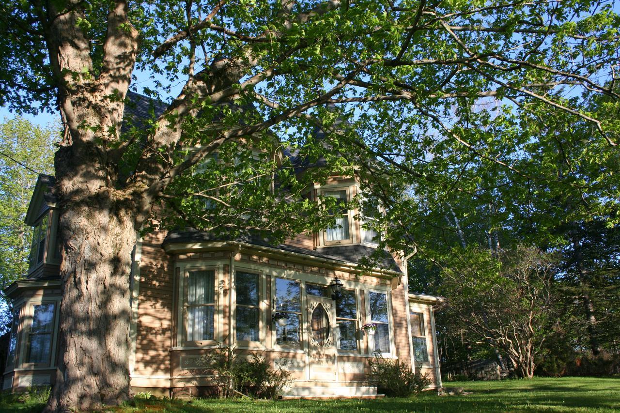 Sackville Bed And Breakfast מראה חיצוני תמונה